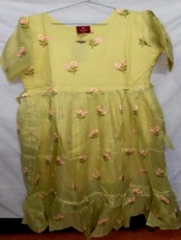 Anarkali Dress