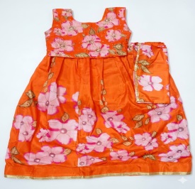 Silk Printed Lehenga Choli